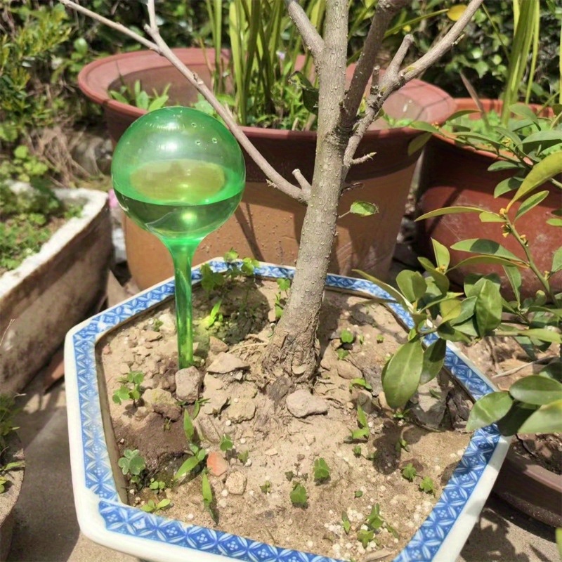 6개 실내 식물 자동 급수 볼 자동화 식물 꽃 물 공병 - Smart Garden Herb 리뷰 및 가격