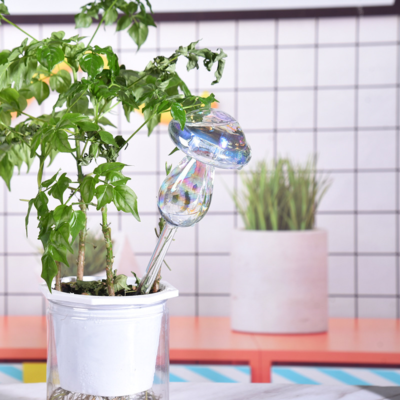 1/2PCS 유리 짚 자동 식물 급수 전구 자체 급수  - Smart Garden Herb 리뷰 및 가격