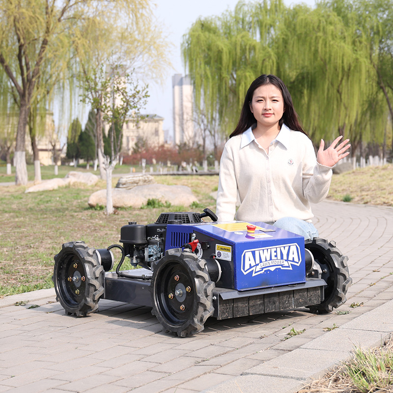 맞춤형 자동 로봇 잔디깎이 장애물 회피 스마트 무선 전 - Smart Garden Gadgets 리뷰 및 가격
