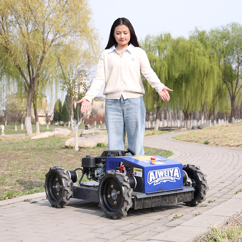 맞춤형 자동 로봇 잔디깎이 장애물 회피 스마트 무선 전 - Smart Garden Gadgets 리뷰 및 가격